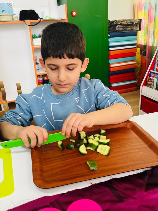 Cizre Montessori Eğitim Nedir